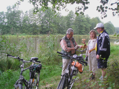 Radeln und Pilze finden